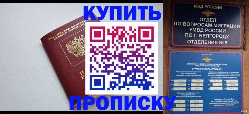 прописка регистрация в Кусе